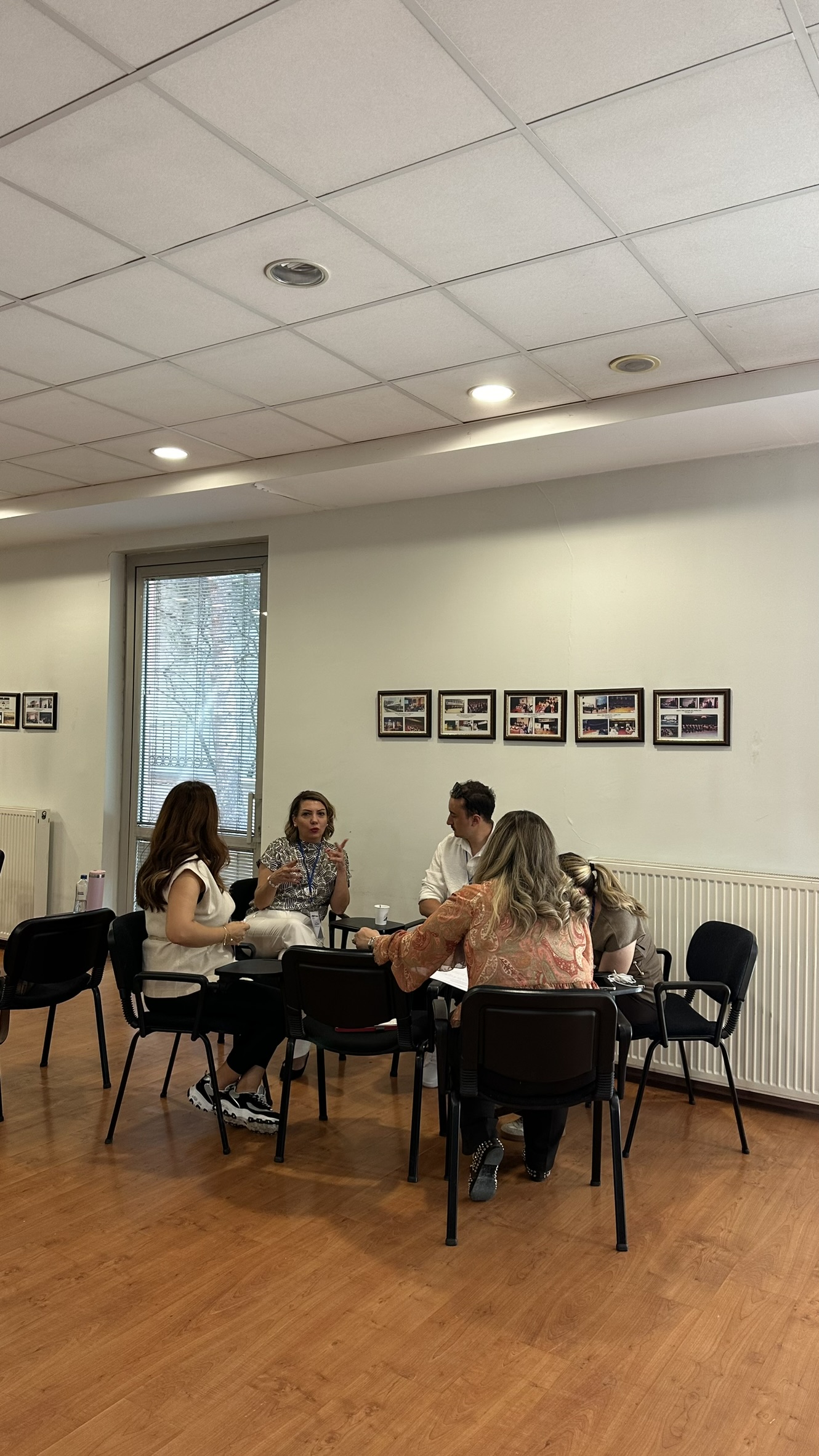 Dr. Louise Gilbert’in Yer Aldığı Ankara Çalıştay