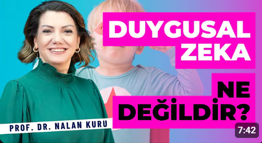 Duygusal Zeka Ne Değildir?